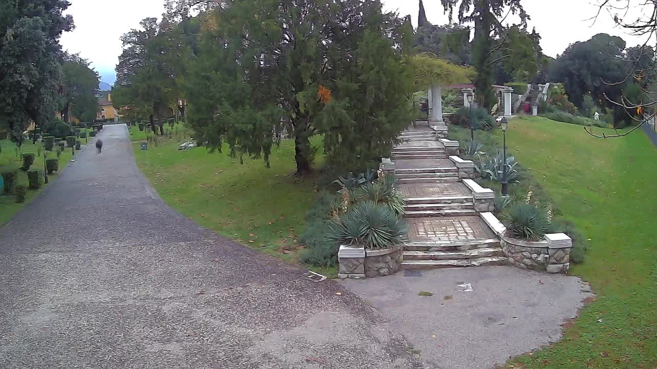 Spletna kamera park Coronini Kronberg – Gorica