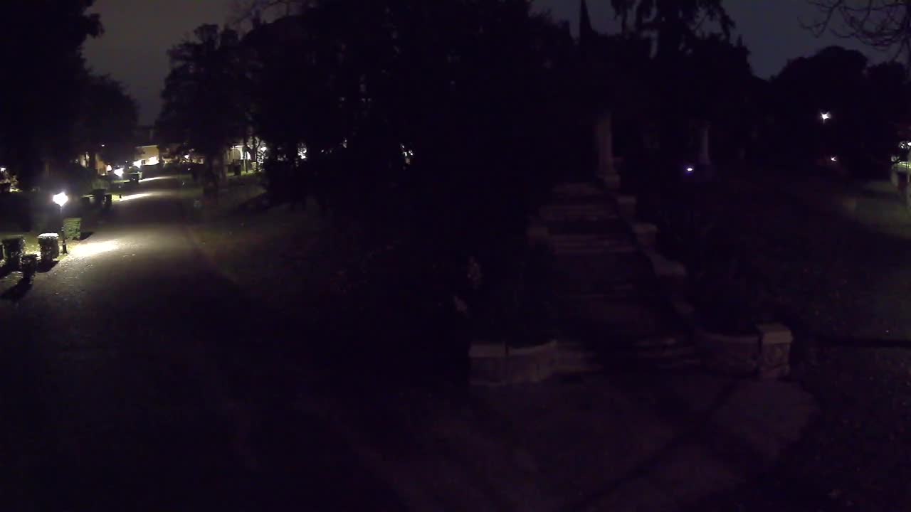 Parco Coronini-Cronberg Live Webcam – Green Oasis