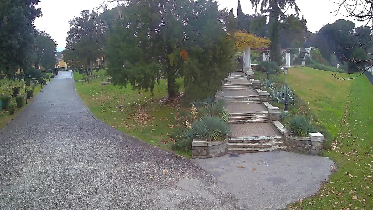 Parco Coronini-Cronberg Live Webcam – Green Oasis