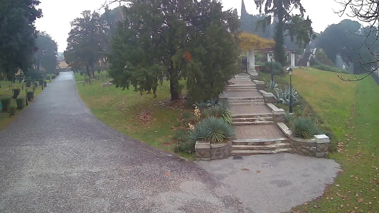 Parco Coronini-Cronberg Live Webcam – Green Oasis