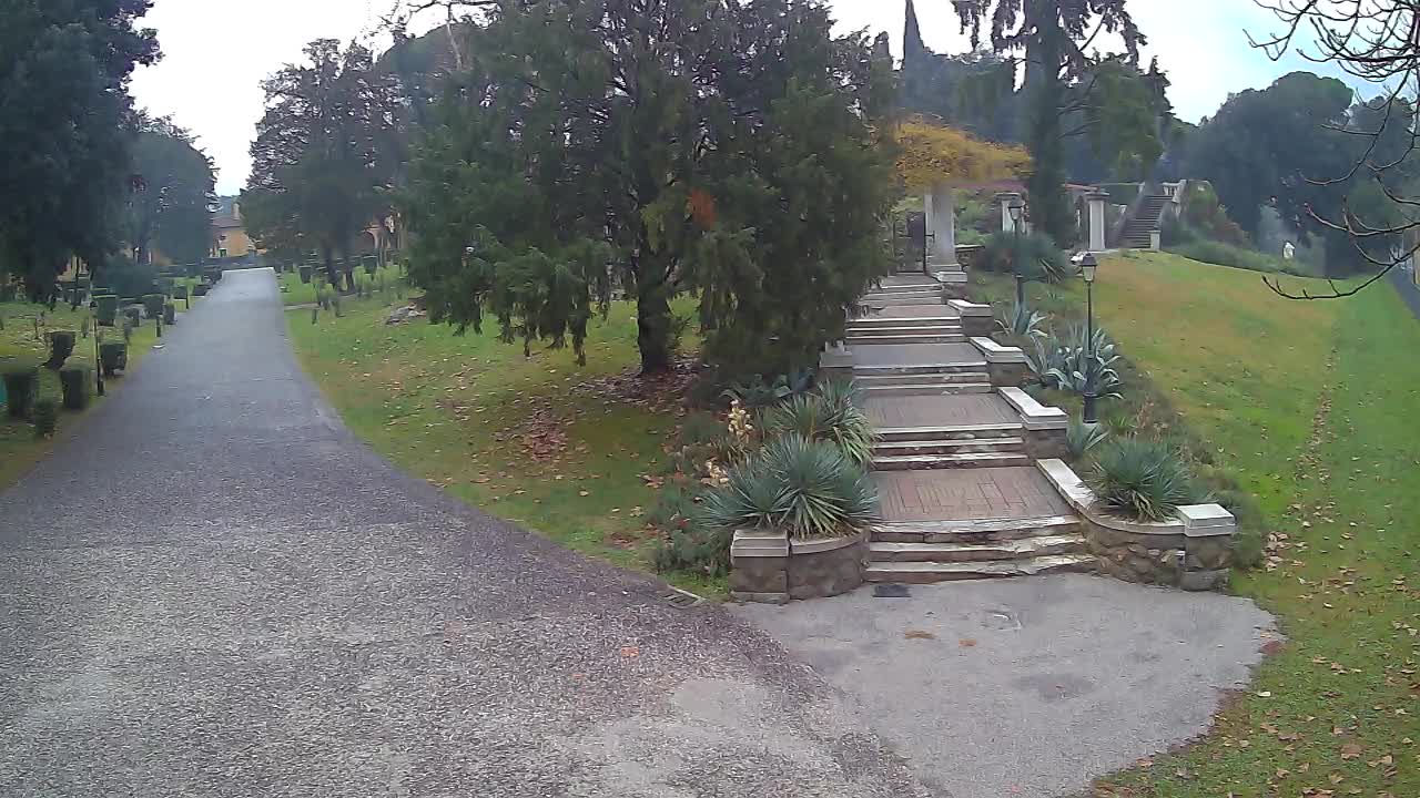 Parco Coronini-Cronberg Live Webcam – Green Oasis