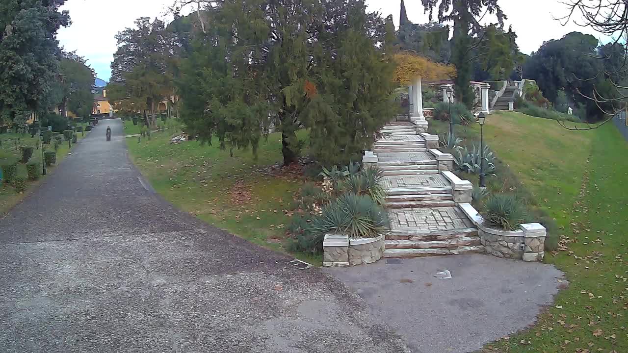 Parco Coronini-Cronberg Live Webcam – Green Oasis
