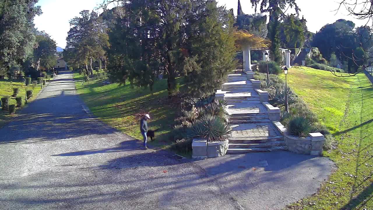 Parco Coronini-Cronberg Live Webcam – Green Oasis