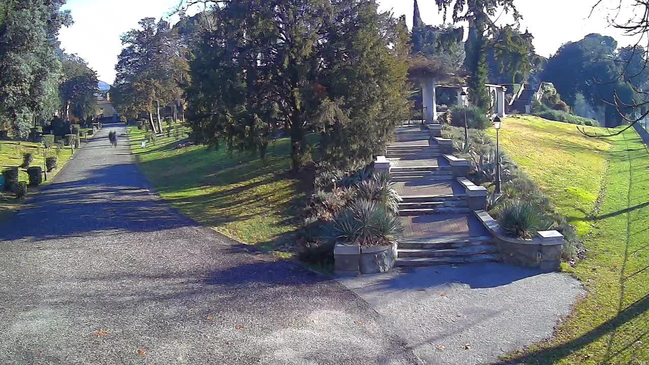 Spletna kamera park Coronini Kronberg – Gorica