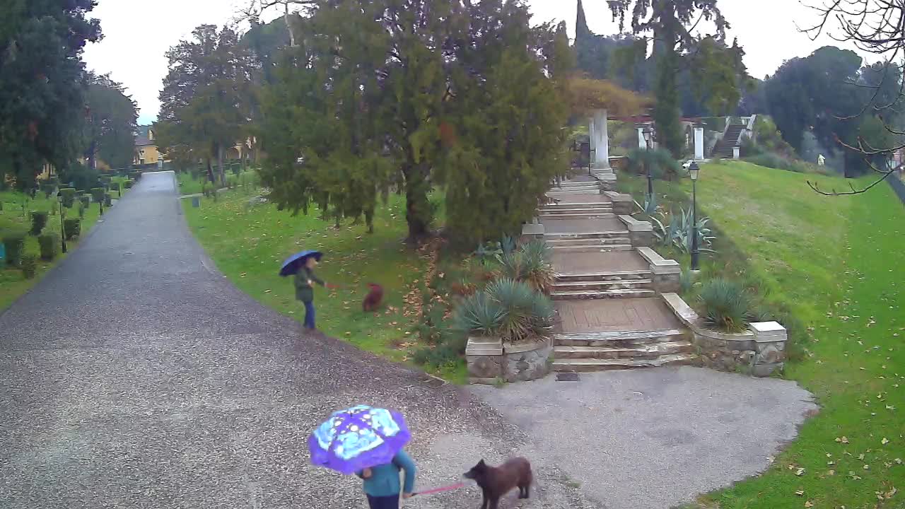 Webcam Parco Coronini Cronberg – Gorizia