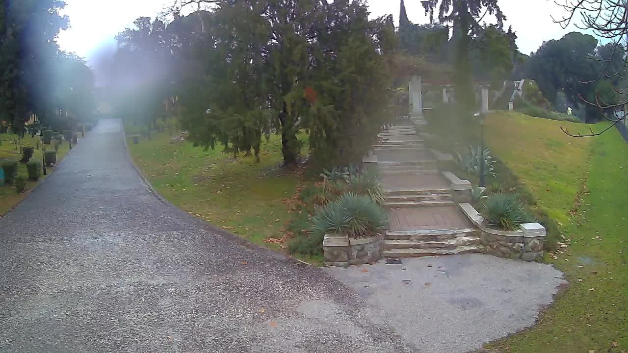 Parco Coronini-Cronberg Live Webcam – Green Oasis