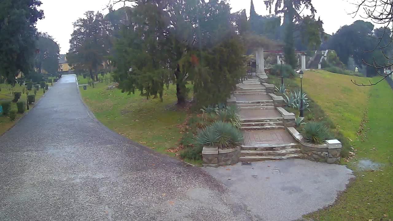 Parco Coronini-Cronberg Live Webcam – Green Oasis