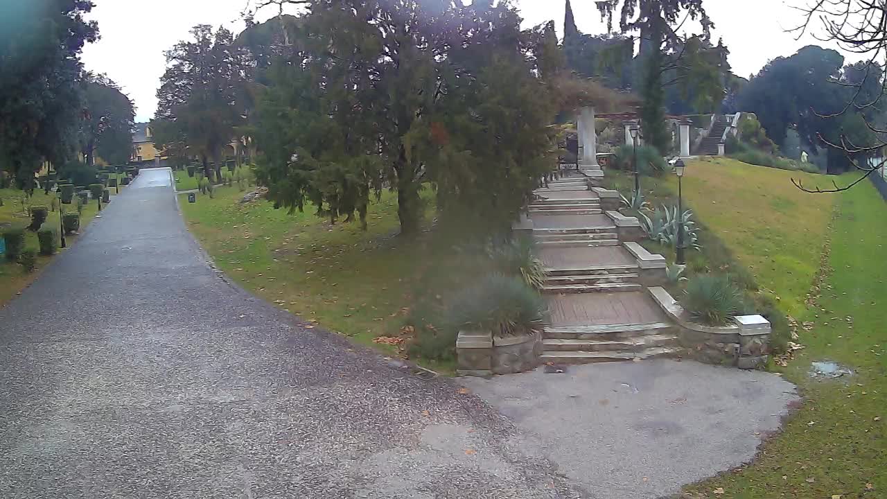 Parco Coronini-Cronberg Live Webcam – Green Oasis