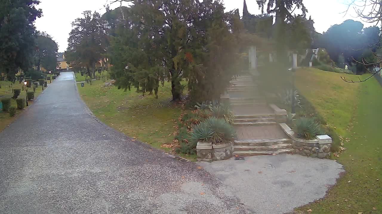 Webcam Parco Coronini Cronberg – Gorizia
