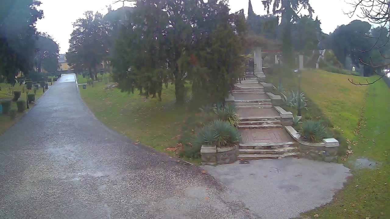 Parco Coronini-Cronberg Live Webcam – Green Oasis