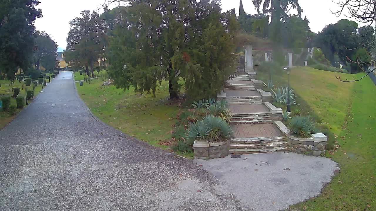 Parco Coronini-Cronberg Live Webcam – Green Oasis
