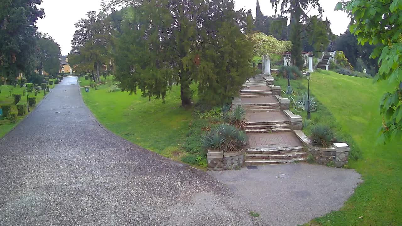 Parco Coronini-Cronberg Live Webcam – Green Oasis