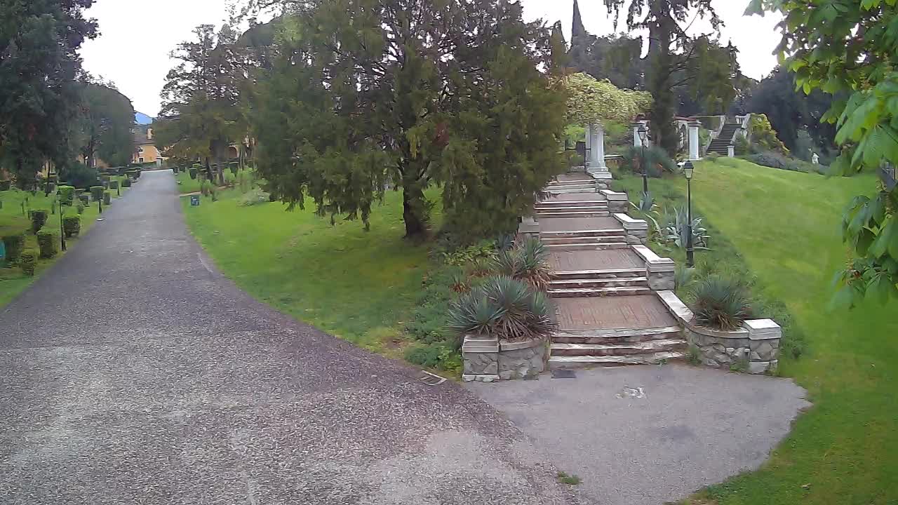 Parco Coronini-Cronberg Live Webcam – Green Oasis
