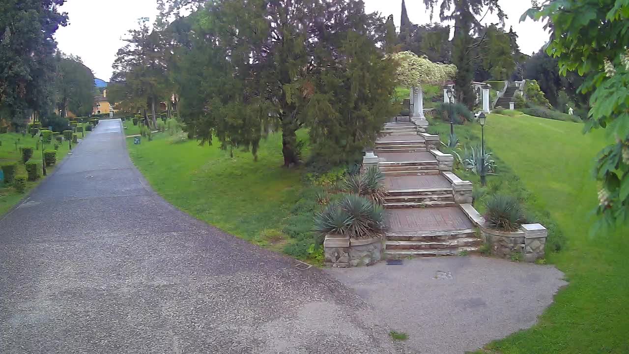 Parco Coronini-Cronberg Live Webcam – Green Oasis