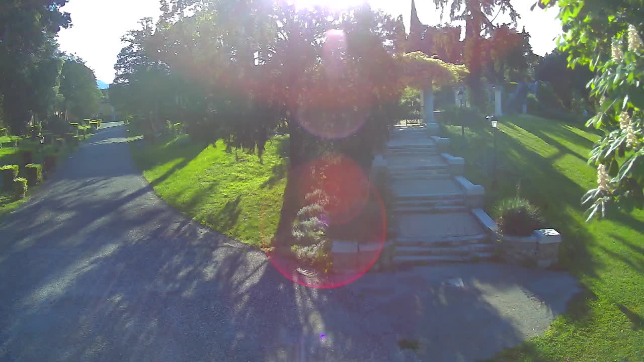 Parco Coronini-Cronberg Live Webcam – Green Oasis