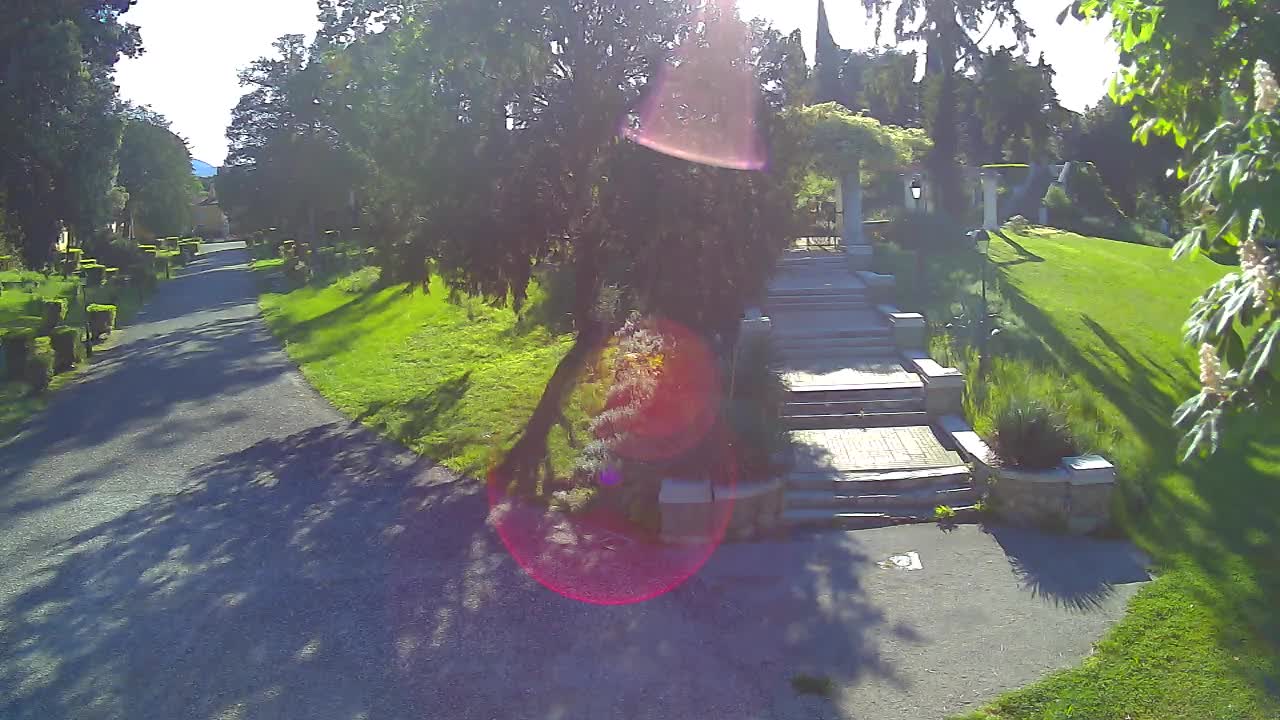 Parco Coronini-Cronberg Live Webcam – Green Oasis