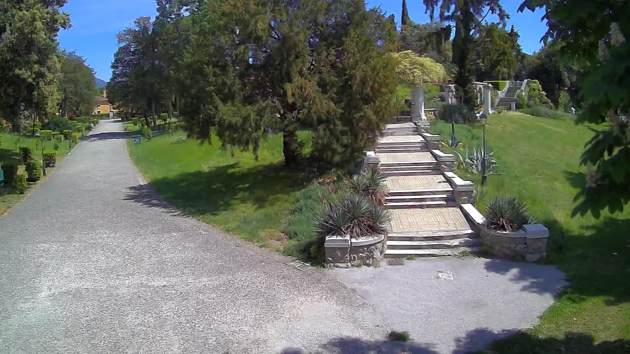 Parco Coronini-Cronberg Live Webcam – Green Oasis