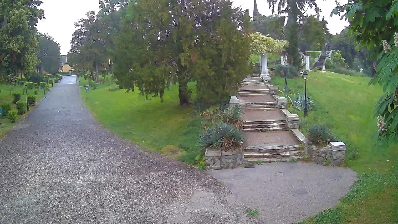 Parco Coronini-Cronberg Live Webcam – Green Oasis