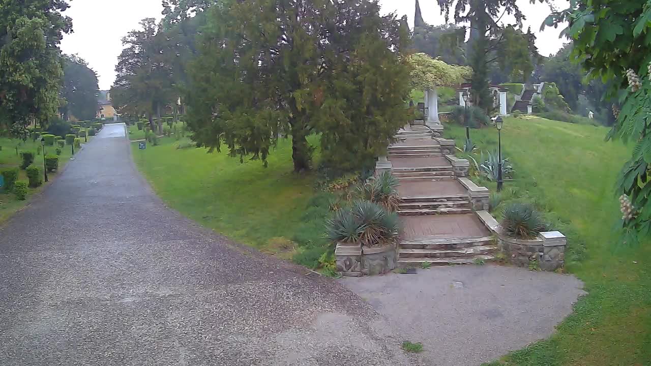 Parco Coronini-Cronberg Live Webcam – Green Oasis
