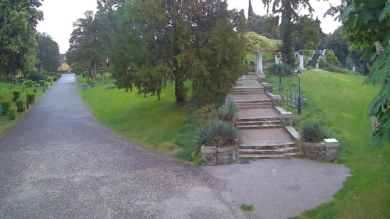 Parco Coronini-Cronberg Live Webcam – Green Oasis