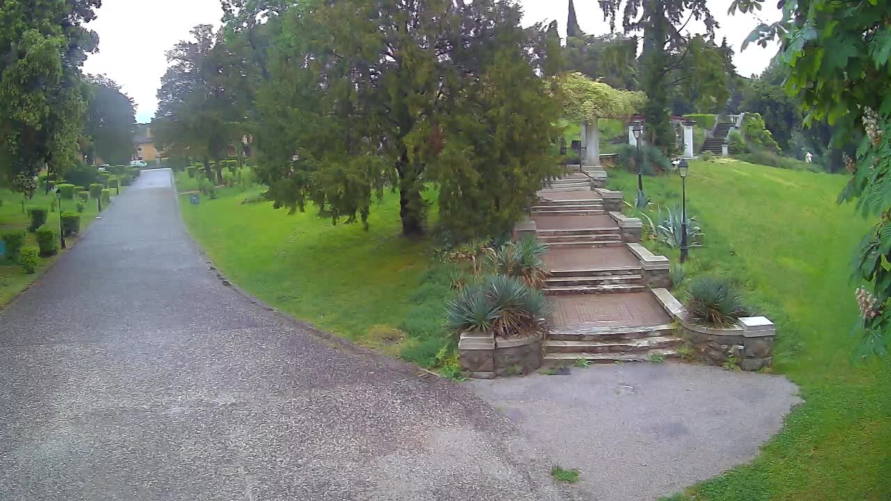Parco Coronini-Cronberg Live Webcam – Green Oasis