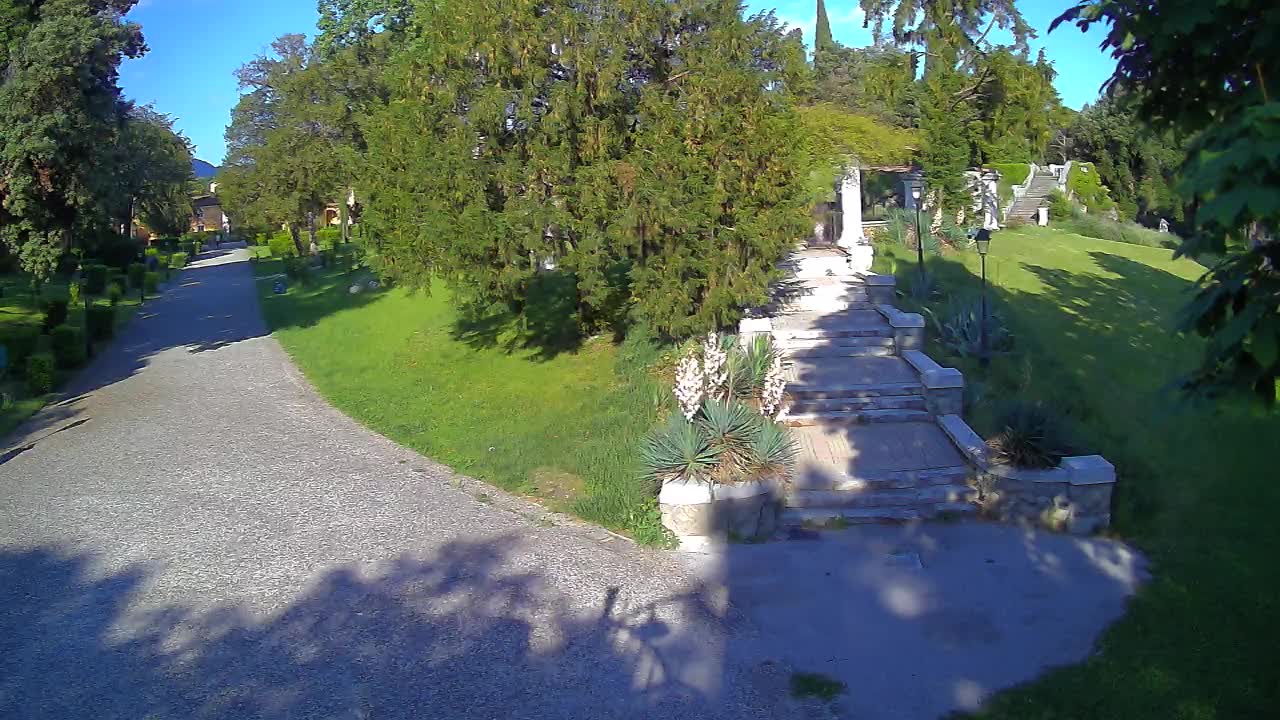 Parco Coronini-Cronberg Live Webcam – Green Oasis