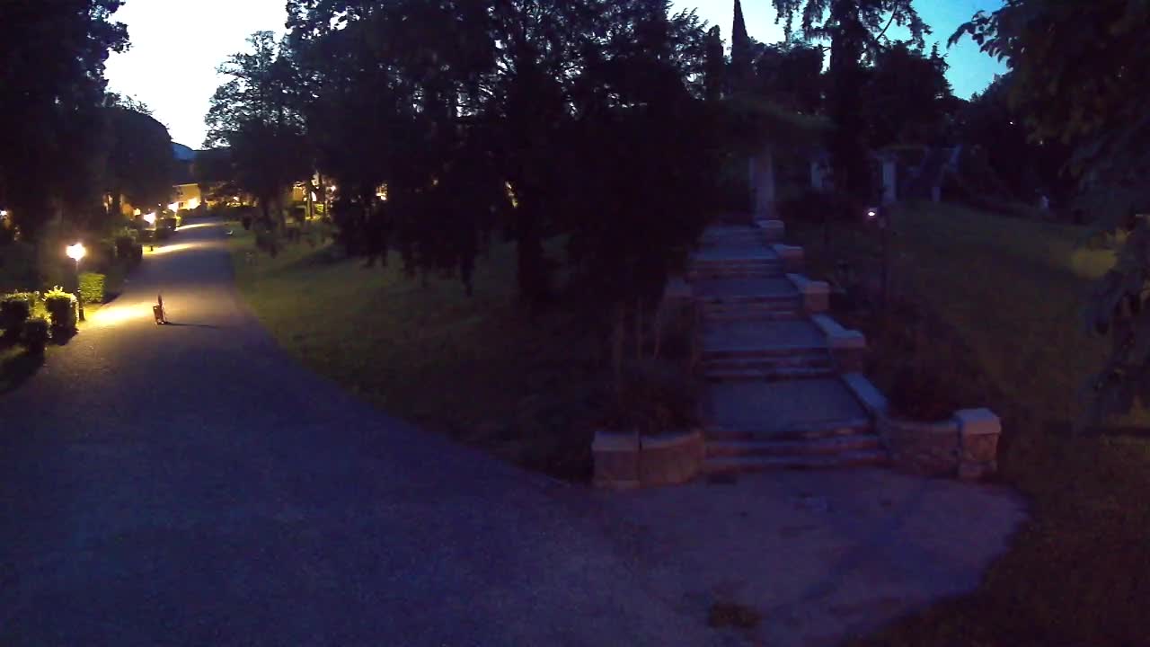 Webcam Parco Coronini Cronberg – Gorizia