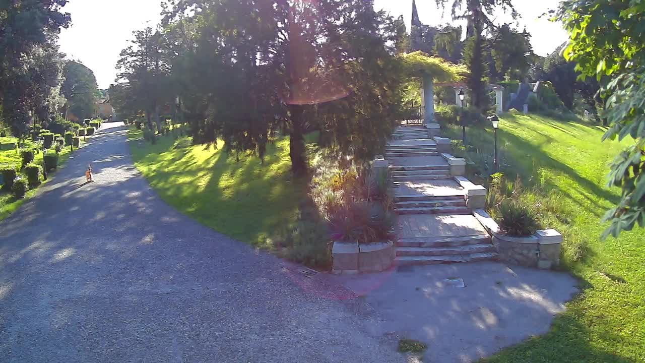 Web kamera park Coronini Cronberg – Gorica