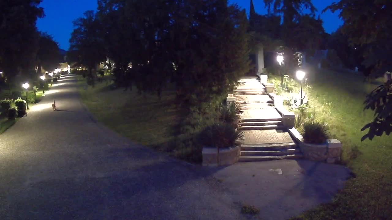 Parco Coronini-Cronberg Live Webcam – Green Oasis