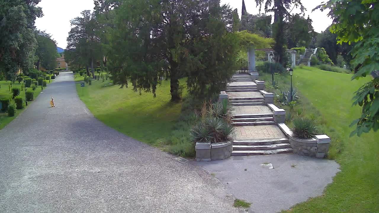 Webcam Parco Coronini Cronberg – Gorizia