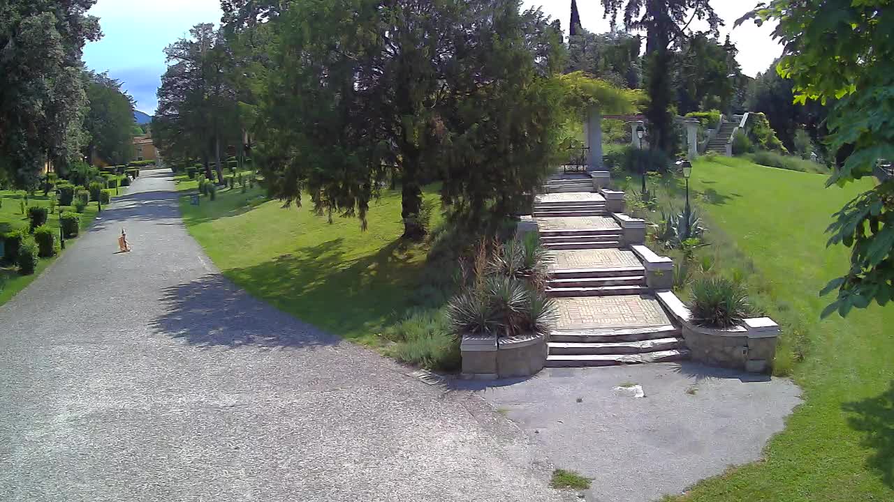 Webcam Parco Coronini Cronberg – Gorizia