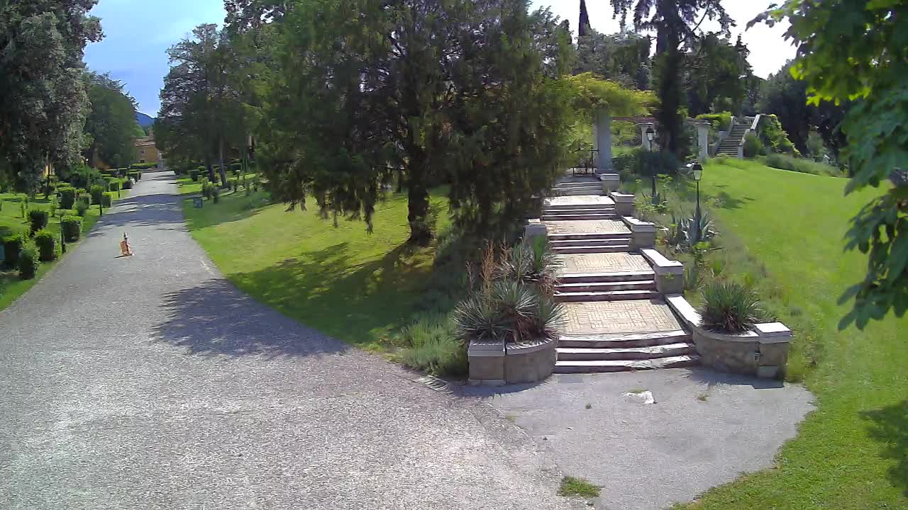 Web kamera park Coronini Cronberg – Gorica