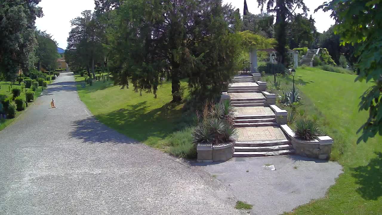 Webcam Parco Coronini Cronberg – Gorizia