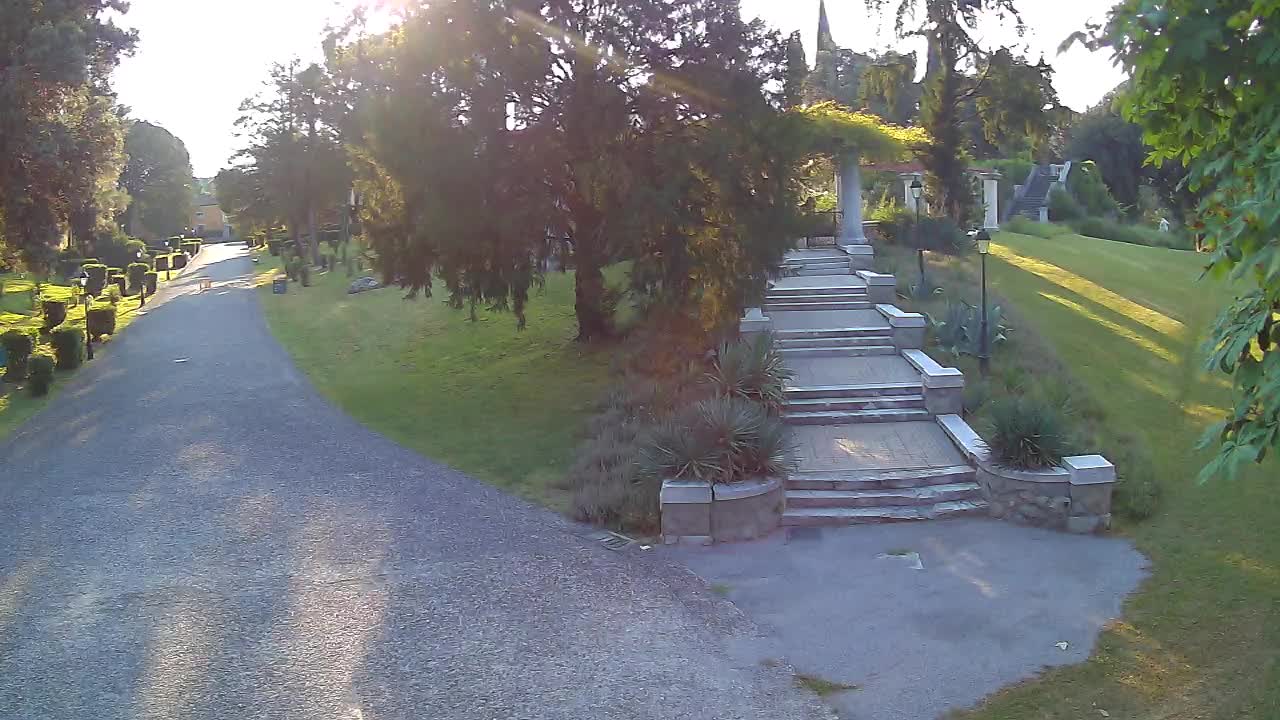 Parco Coronini-Cronberg Live Webcam – Green Oasis