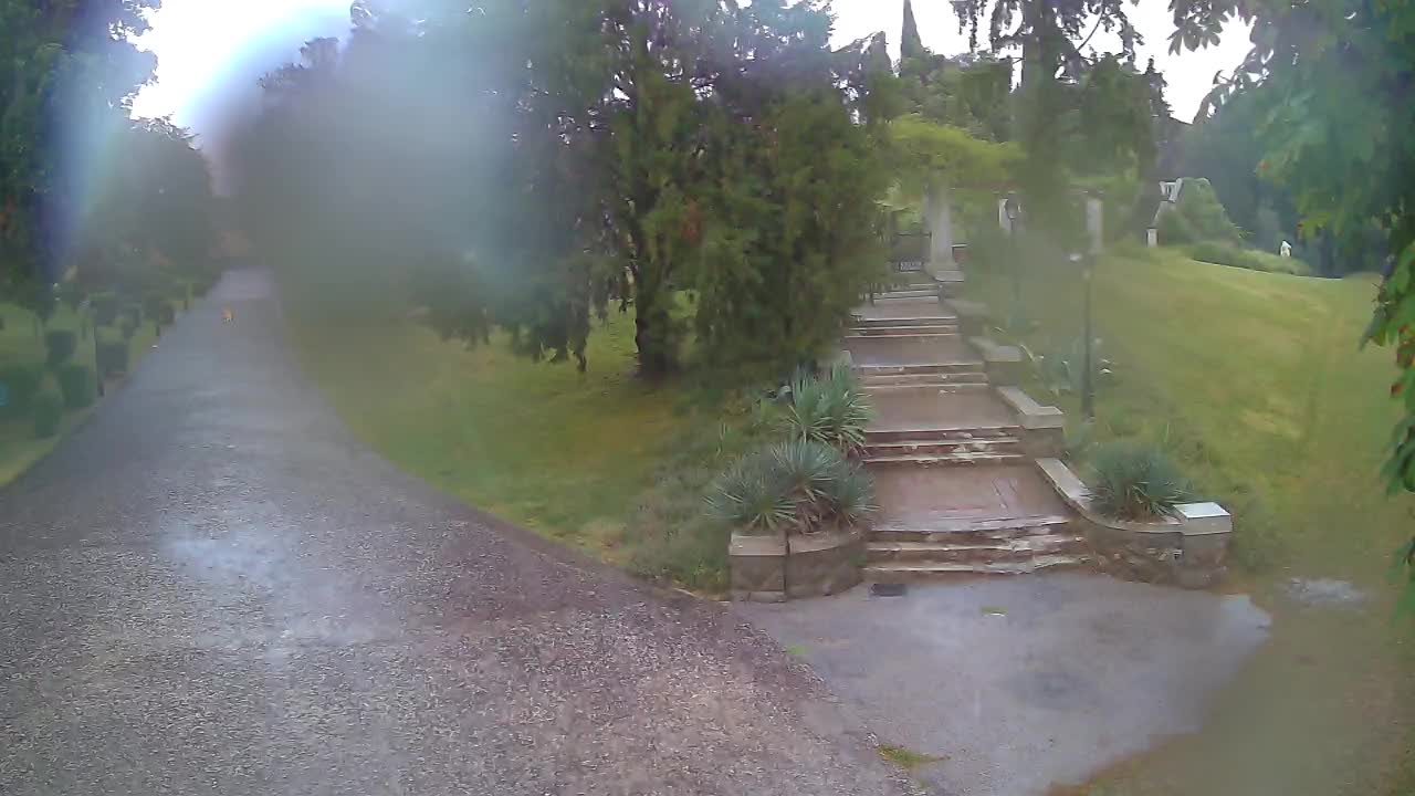 Spletna kamera park Coronini Kronberg – Gorica