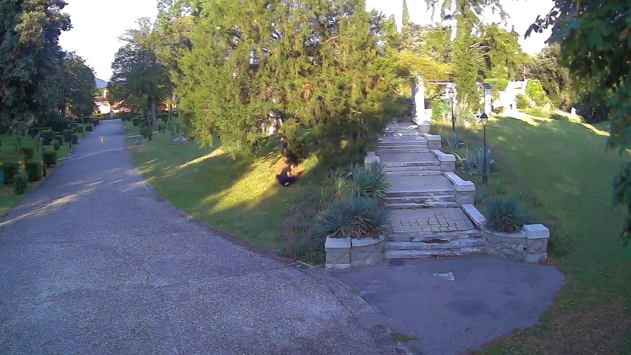 Parco Coronini-Cronberg Live Webcam – Green Oasis