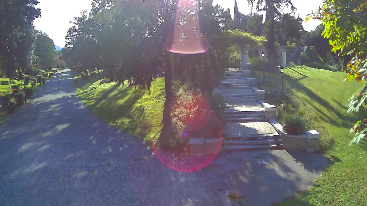 Parco Coronini-Cronberg Live Webcam – Green Oasis