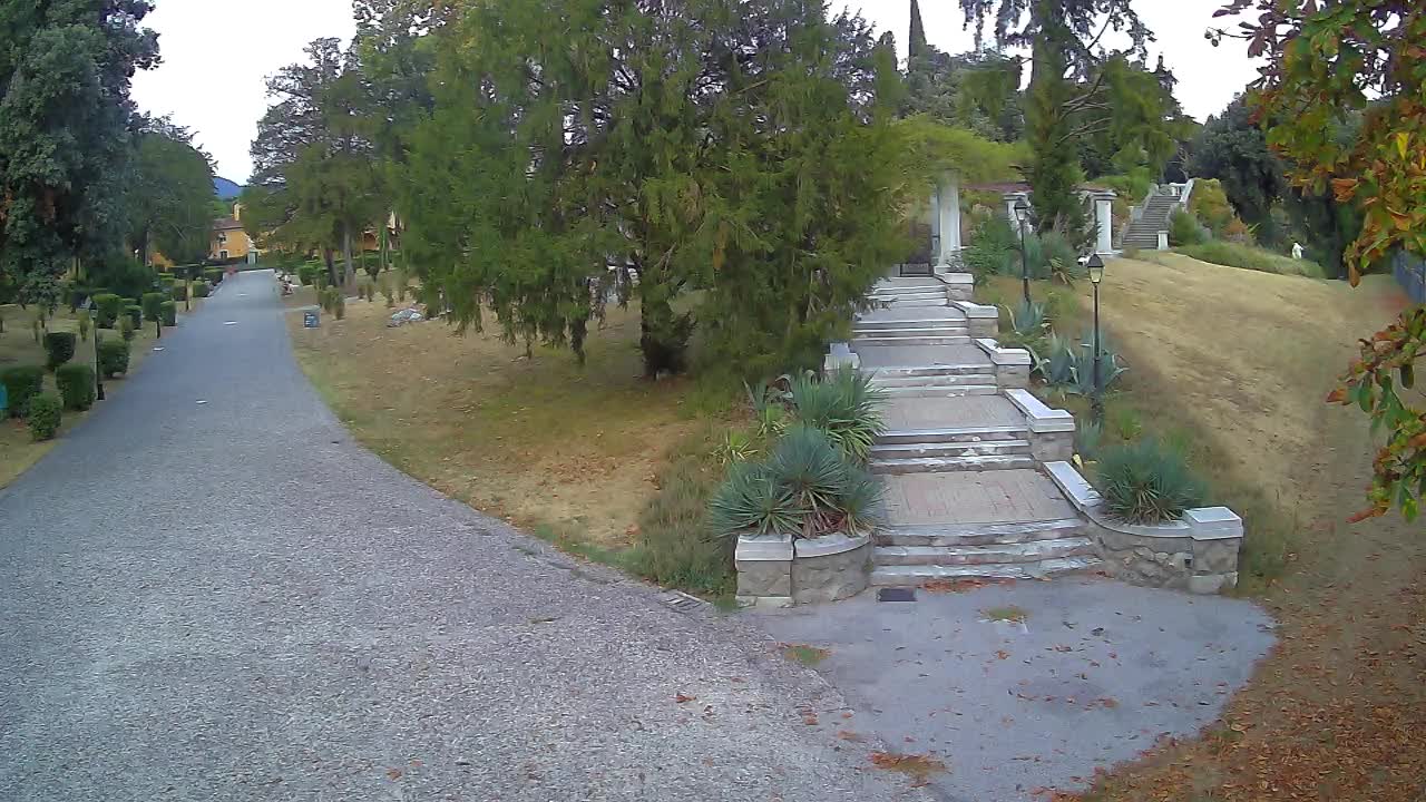 Parco Coronini-Cronberg Live Webcam – Green Oasis