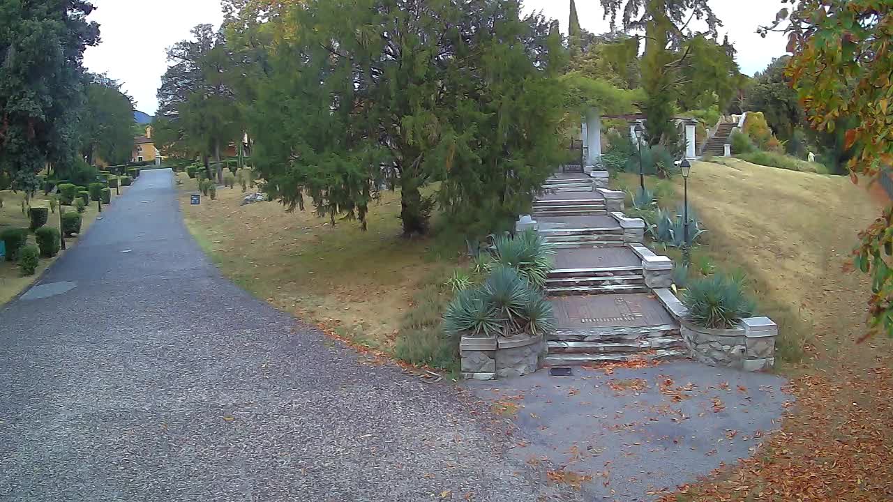 Parco Coronini-Cronberg Live Webcam – Green Oasis