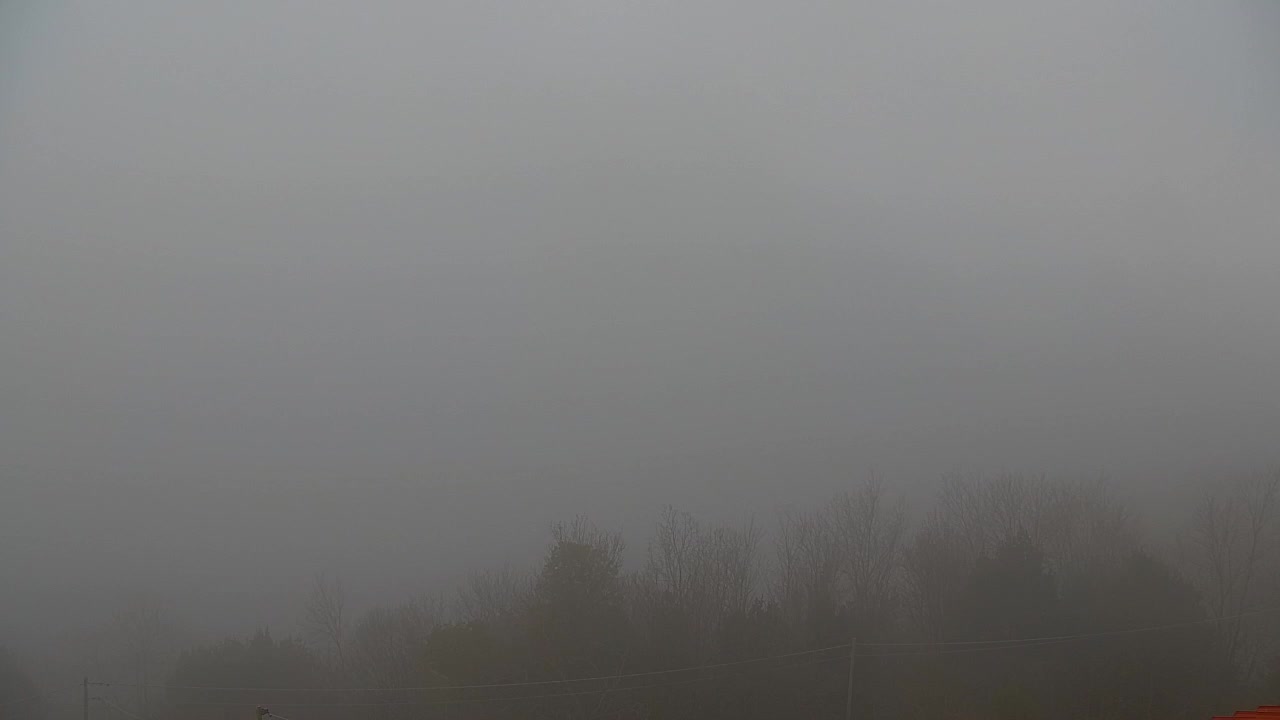 Scopri la Webcam Senza Confini tra Nova Gorica e Gorizia!