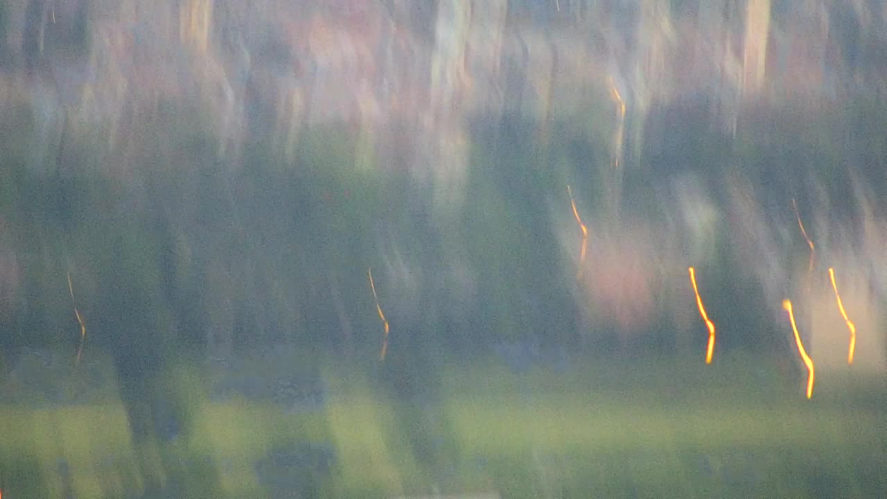 Découvrez la Webcam Sans Frontières entre Nova Gorica et Gorizia !