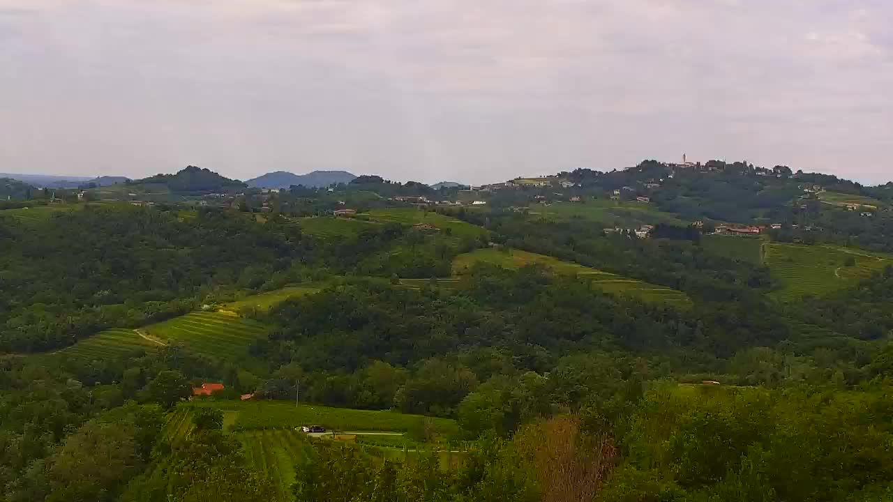 Descubre la Webcam Sin Fronteras de Nova Gorica y Gorizia!
