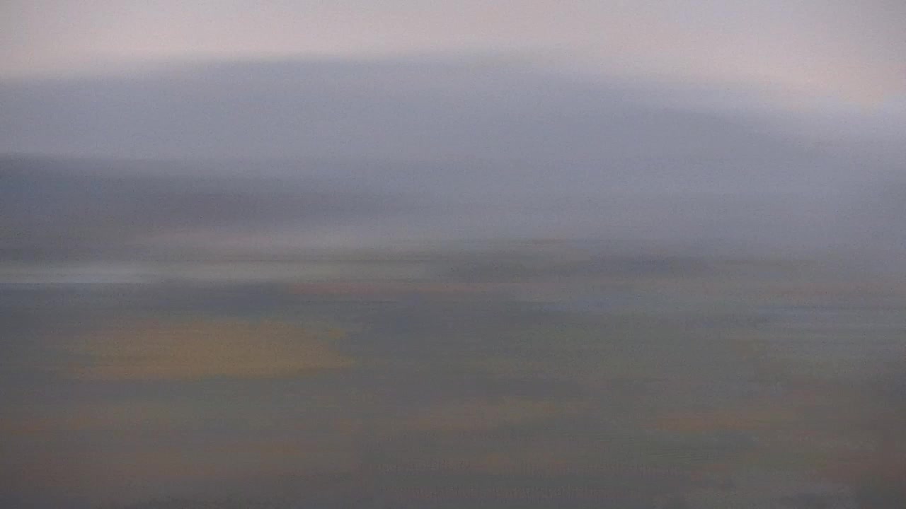 Découvrez la Webcam Sans Frontières entre Nova Gorica et Gorizia !