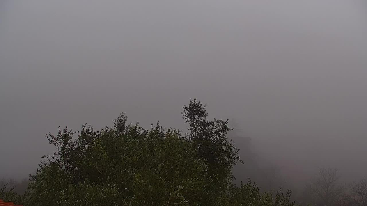 Descubre la Webcam Sin Fronteras de Nova Gorica y Gorizia!