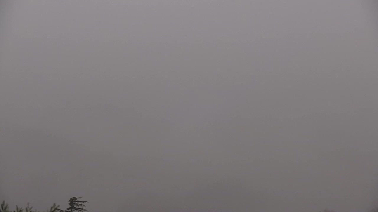 Borderless webcam of Nova Gorica and Gorizia