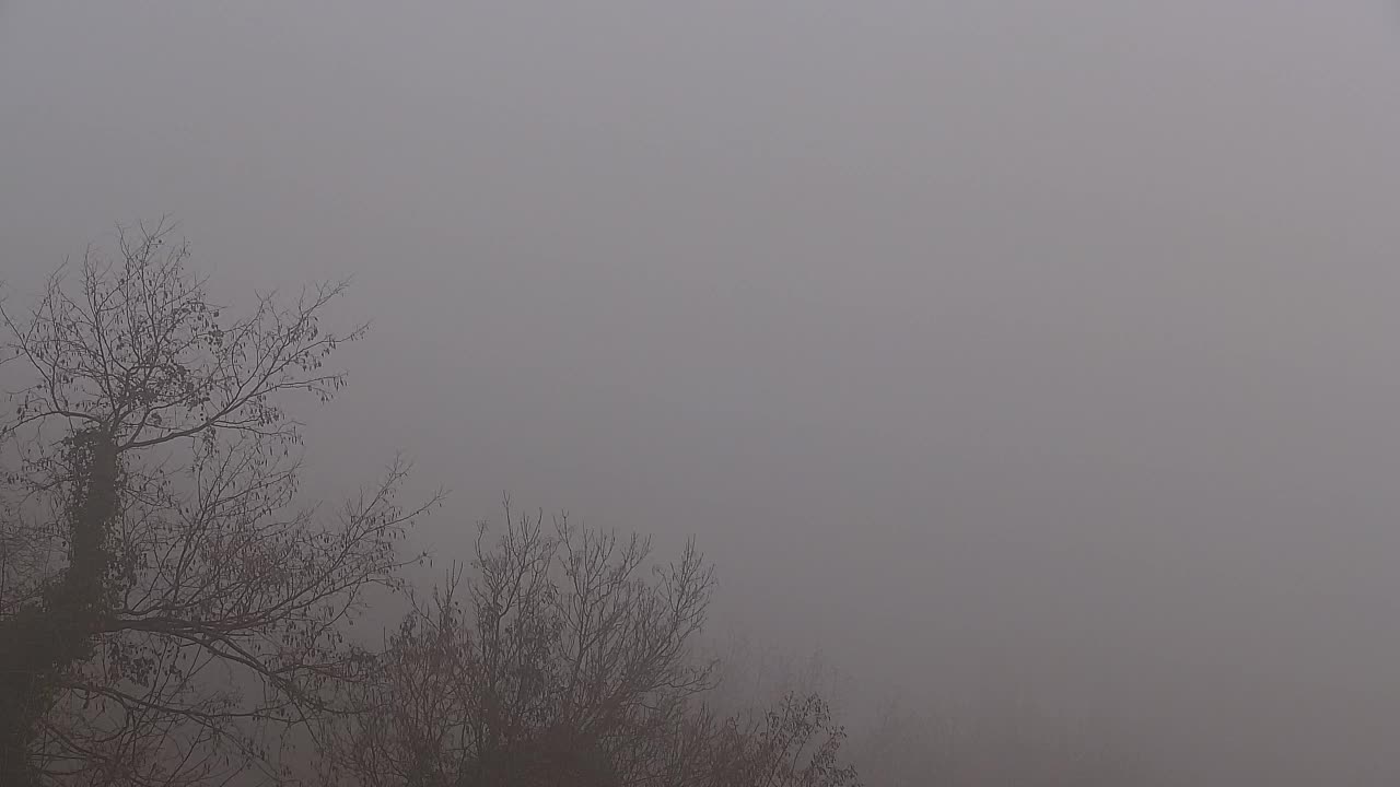 Découvrez la Webcam Sans Frontières entre Nova Gorica et Gorizia !