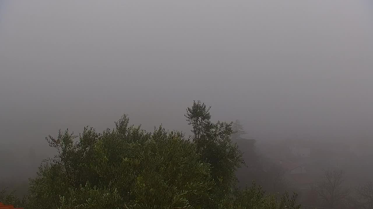 Descubre la Webcam Sin Fronteras de Nova Gorica y Gorizia!