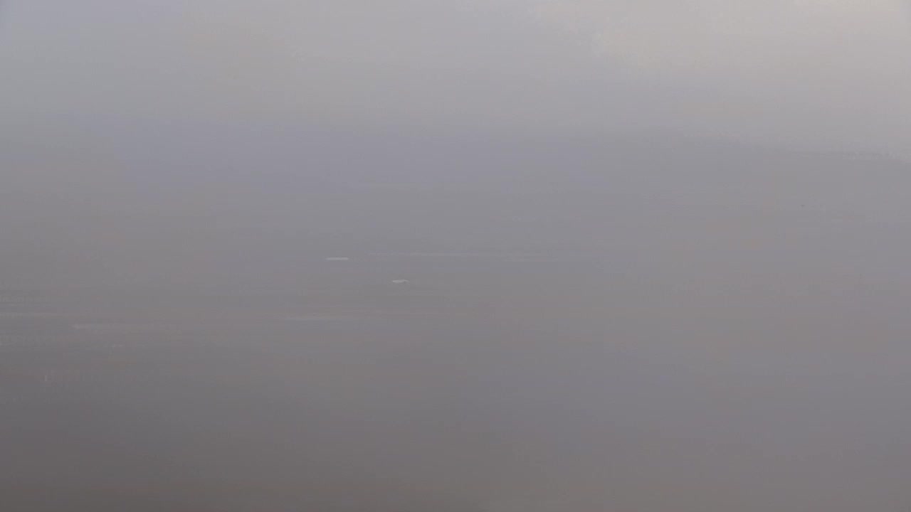 Descubre la Webcam Sin Fronteras de Nova Gorica y Gorizia!