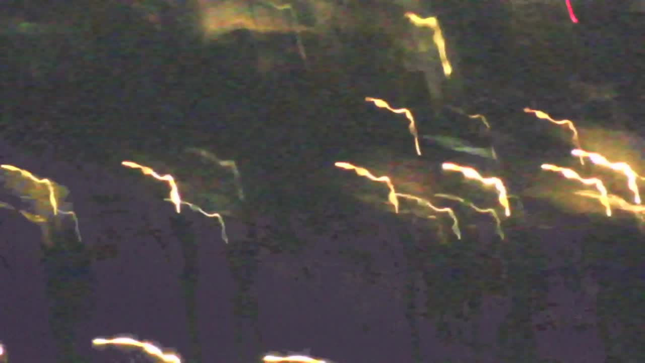 Borderless webcam of Nova Gorica and Gorizia