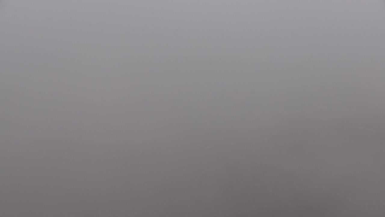 Descubre la Webcam Sin Fronteras de Nova Gorica y Gorizia!